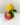 PDP_Sole-Ingredients