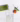 8d55dc7801969a9f996cf98eb3de6c32f697e390-1600×2000.png